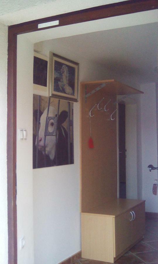 Apartma Pr' Vok เลสเซ ภายนอก รูปภาพ