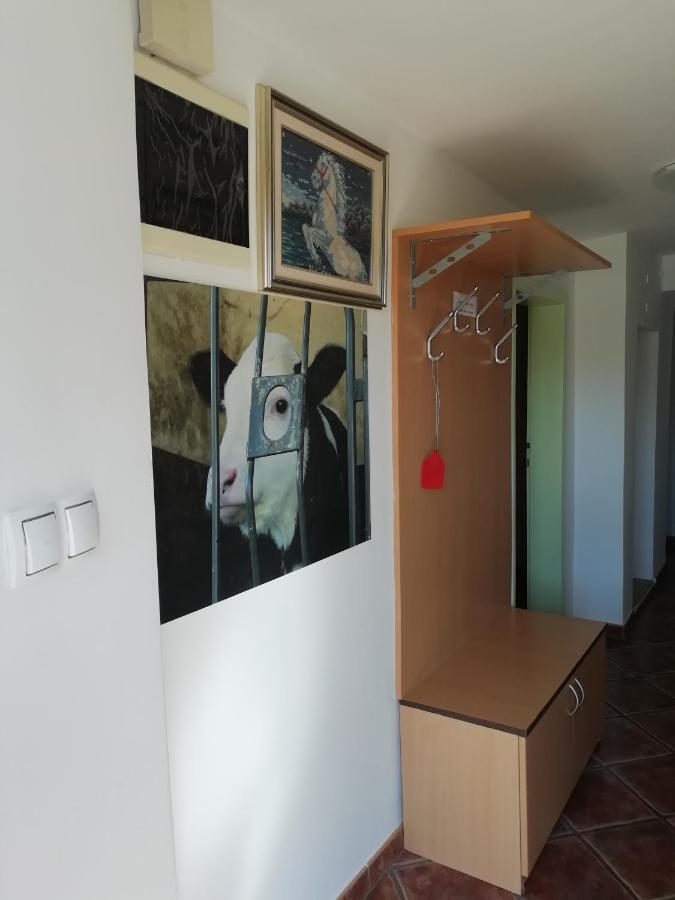 Apartma Pr' Vok เลสเซ ภายนอก รูปภาพ